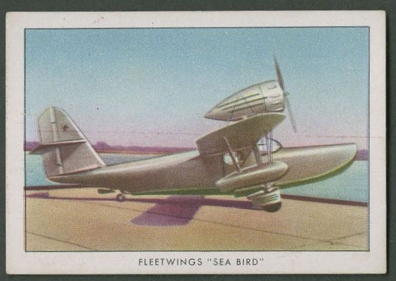 Fleetwings Sea Bird